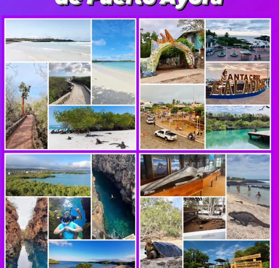 Suite Raya Puerto Ayora