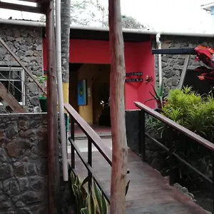  Albergue Galapagos Morning Glory